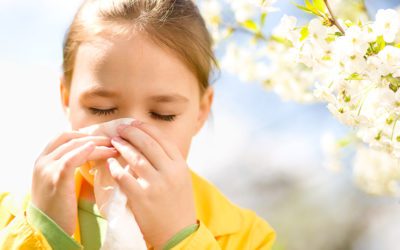 Seasonal Allergies vs Common Cold